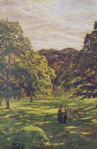 Meadow Scene